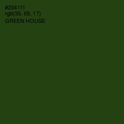 #234111 - Green House Color Image