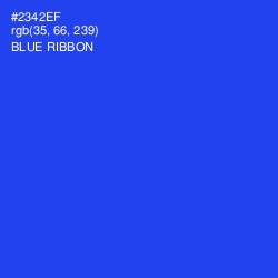 #2342EF - Blue Ribbon Color Image