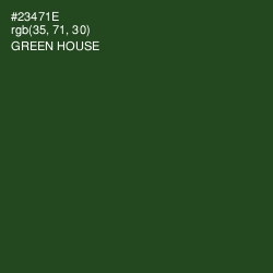 #23471E - Green House Color Image