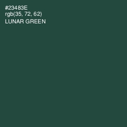 #23483E - Lunar Green Color Image