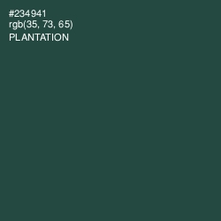 #234941 - Plantation Color Image