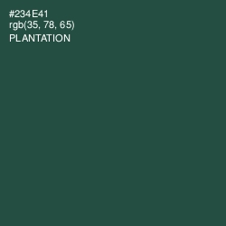 #234E41 - Plantation Color Image