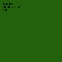 #23610C - Dell Color Image