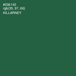 #236142 - Killarney Color Image