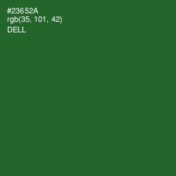 #23652A - Dell Color Image