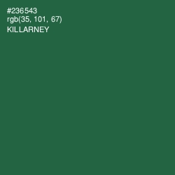 #236543 - Killarney Color Image
