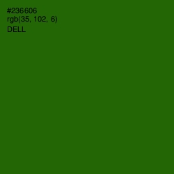 #236606 - Dell Color Image