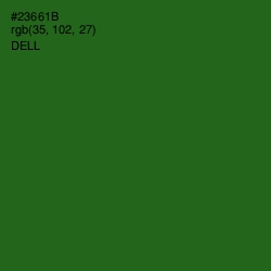 #23661B - Dell Color Image