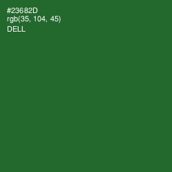 #23682D - Dell Color Image
