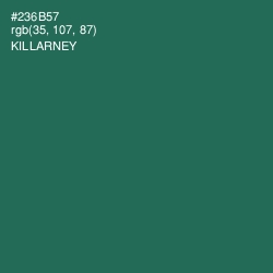 #236B57 - Killarney Color Image