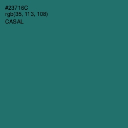 #23716C - Casal Color Image