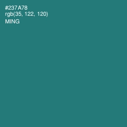 #237A78 - Ming Color Image