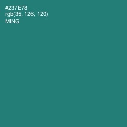 #237E78 - Ming Color Image