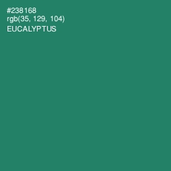 #238168 - Eucalyptus Color Image