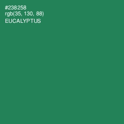 #238258 - Eucalyptus Color Image