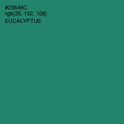 #23846C - Eucalyptus Color Image