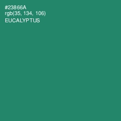 #23866A - Eucalyptus Color Image