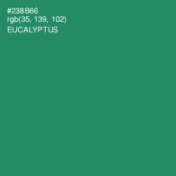 #238B66 - Eucalyptus Color Image