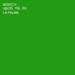 #239C14 - La Palma Color Image