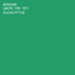 #239E6B - Eucalyptus Color Image