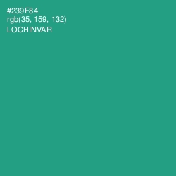 #239F84 - Lochinvar Color Image