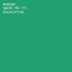 #23A06F - Eucalyptus Color Image