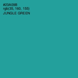 #23A09B - Jungle Green Color Image