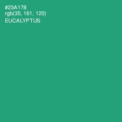 #23A178 - Eucalyptus Color Image