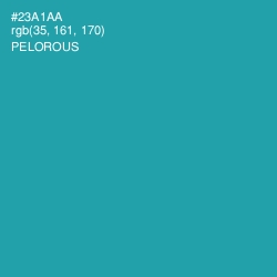 #23A1AA - Pelorous Color Image