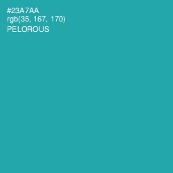 #23A7AA - Pelorous Color Image