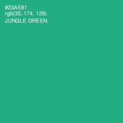#23AE81 - Jungle Green Color Image