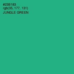 #23B183 - Jungle Green Color Image