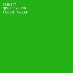 #23B317 - Forest Green Color Image