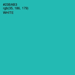 #23BAB3 - Pelorous Color Image