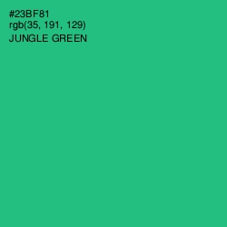 #23BF81 - Jungle Green Color Image