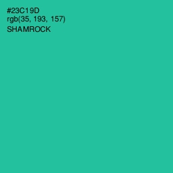 #23C19D - Shamrock Color Image