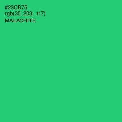 #23CB75 - Malachite Color Image