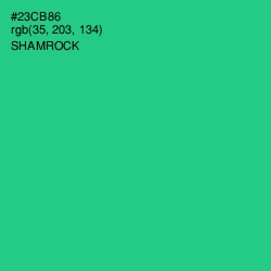 #23CB86 - Shamrock Color Image