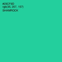 #23CF9D - Shamrock Color Image