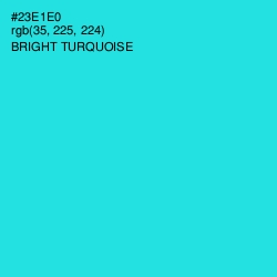 #23E1E0 - Bright Turquoise Color Image