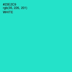 #23E2C9 - Turquoise Color Image