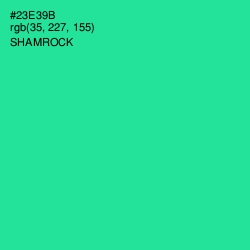 #23E39B - Shamrock Color Image