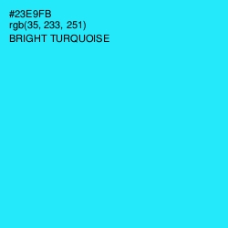 #23E9FB - Bright Turquoise Color Image