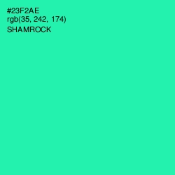 #23F2AE - Shamrock Color Image