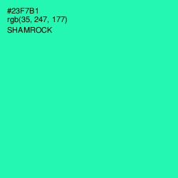 #23F7B1 - Shamrock Color Image