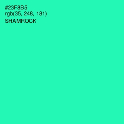 #23F8B5 - Shamrock Color Image