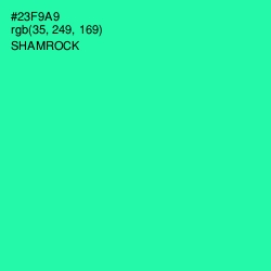 #23F9A9 - Shamrock Color Image