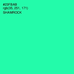 #23FBAB - Shamrock Color Image