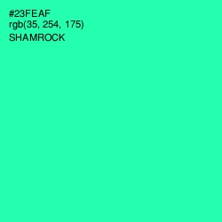#23FEAF - Shamrock Color Image