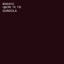 #240A10 - Gondola Color Image